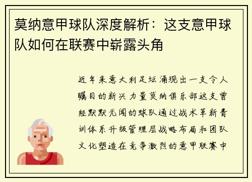 莫纳意甲球队深度解析：这支意甲球队如何在联赛中崭露头角